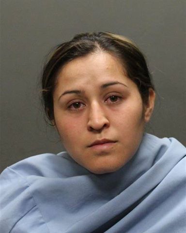 Mug shots 2017